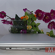 MacBook mini — нетбук 